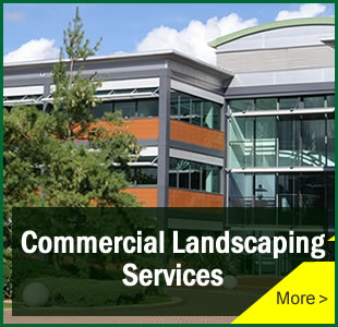 Commercial Landscapers London South East Kent